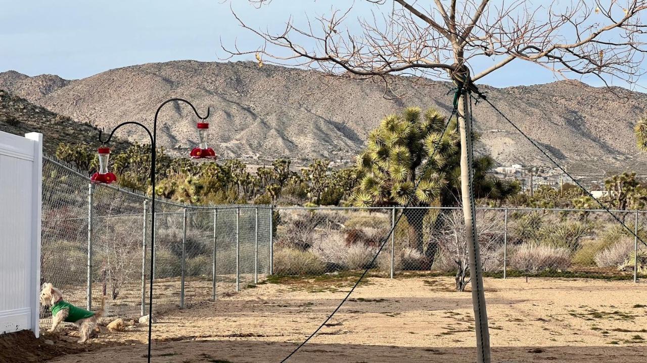 يوككا فالي Peaceful Home With Nature Views & Trail Access المظهر الخارجي الصورة