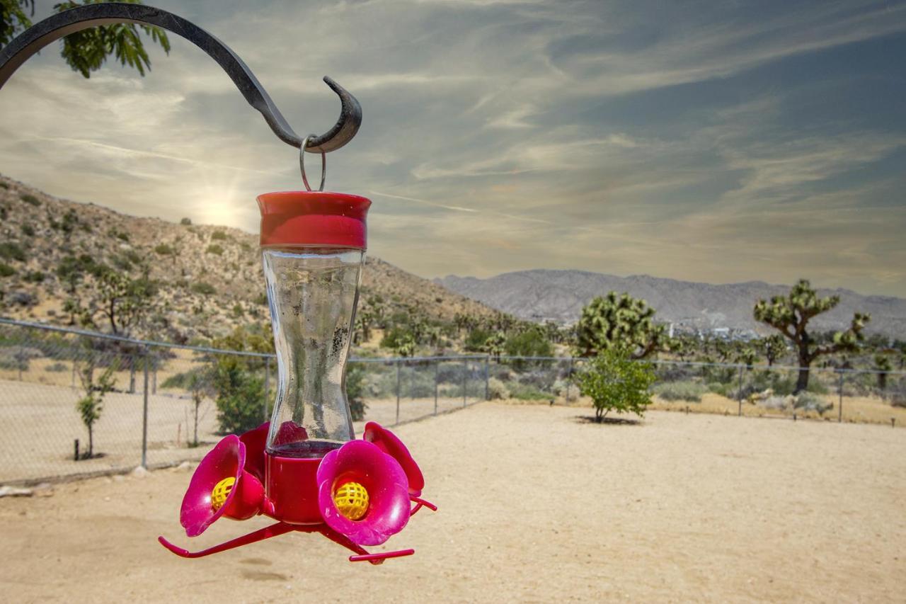 يوككا فالي Peaceful Home With Nature Views & Trail Access المظهر الخارجي الصورة