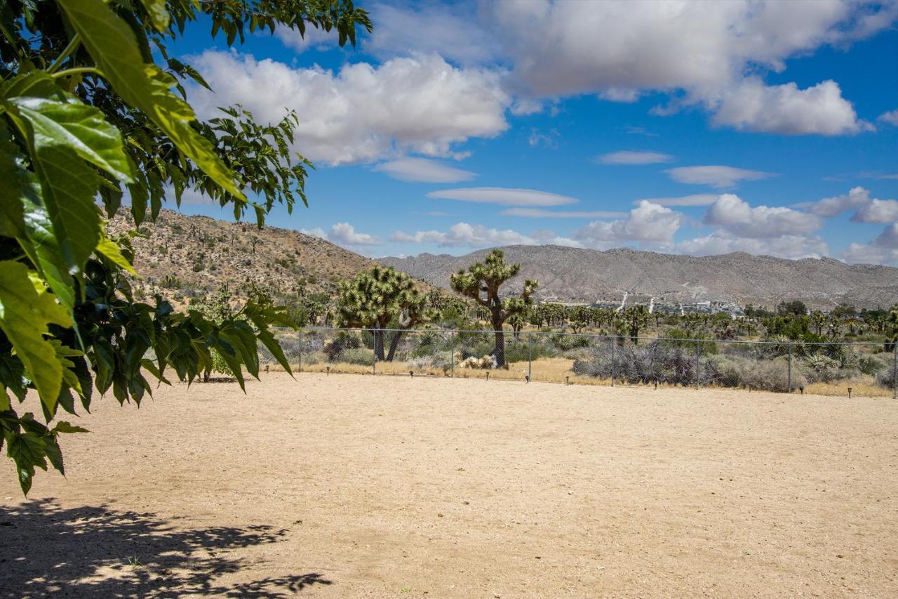 يوككا فالي Peaceful Home With Nature Views & Trail Access المظهر الخارجي الصورة